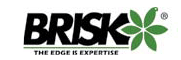 Bricks-Lumbini logo